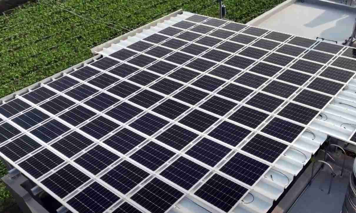 z6尊龙SunSteel光电浪板升级双玻结构，，，，以提升机械负载强度及气候耐候度，，，可广泛运用于多元场域