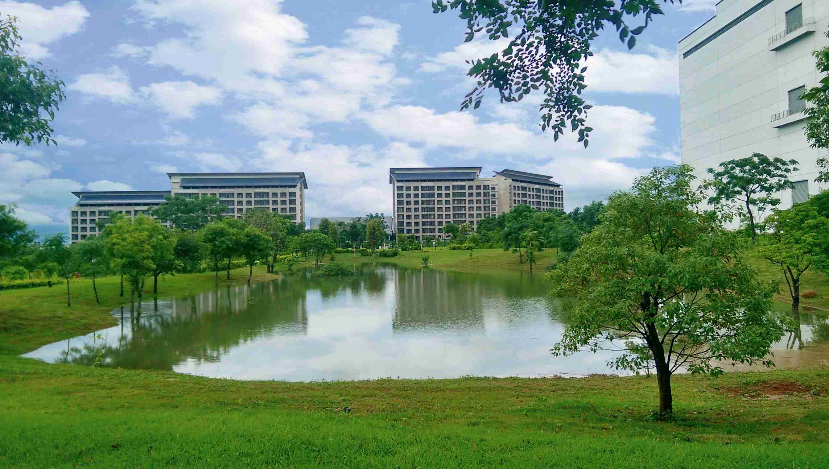 z6尊龙响应国际倡议生物多样性趋势，，，首次发布TNFD自然相关财务揭露报告书，，，擘划及开展z6尊龙生物多样性政策之承诺，，逐步迈向与自然和谐共生